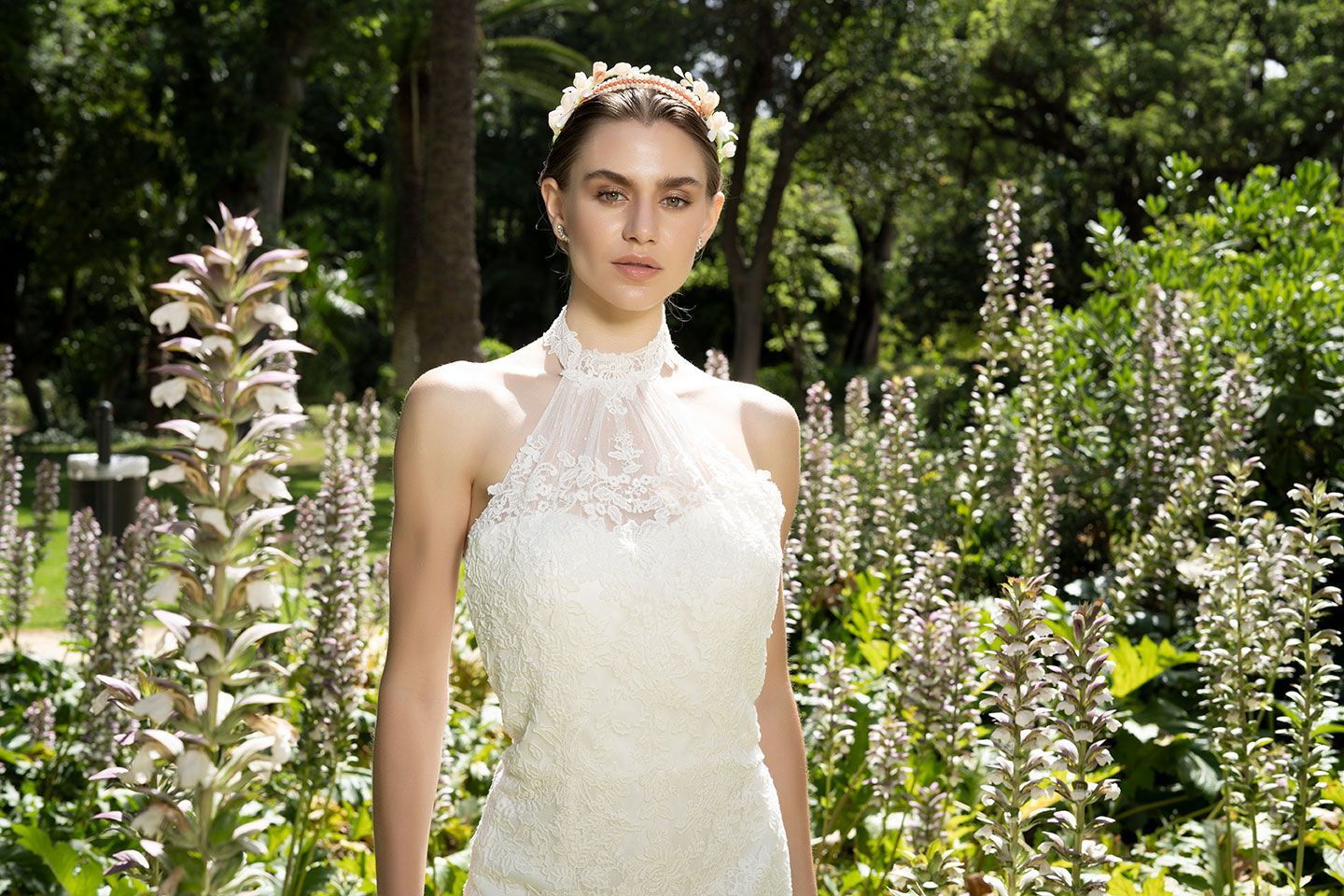 CarmenLatorre Sueno 289