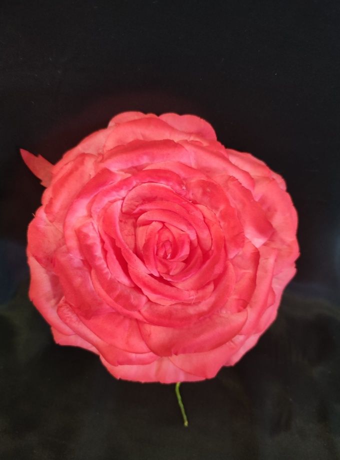 Rosa teñida mediana